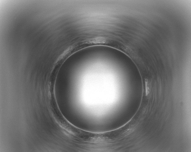 X0000054460300200508051958