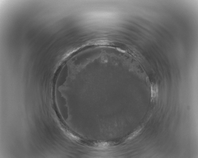 X0000054460301200508051958