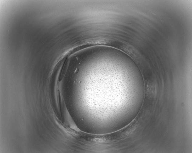 X0000054460302200508051958