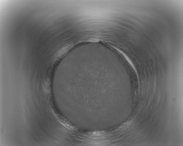 X0000054460303200508051958