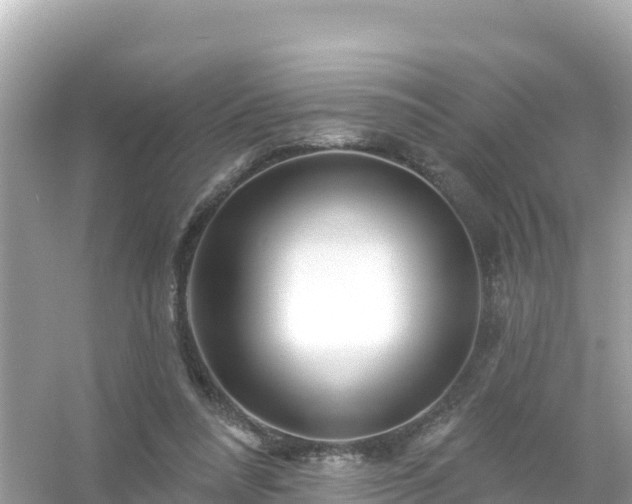 X0000054460304200508051958