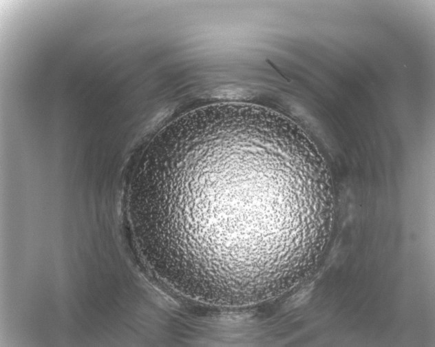 X0000054460305200508051958