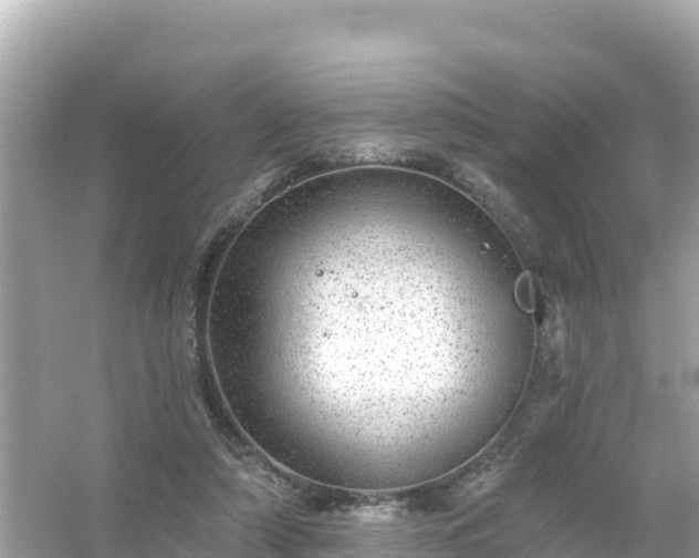 X0000054460306200508051958