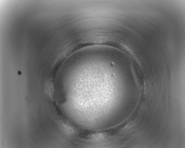 X0000054460307200508051958