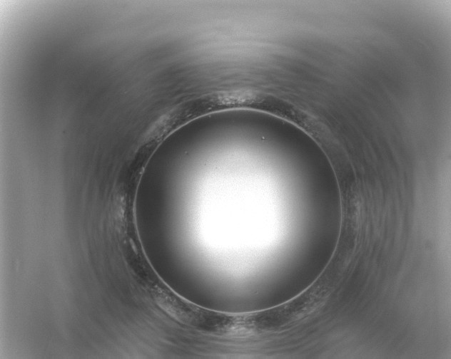 X0000054460308200508051958