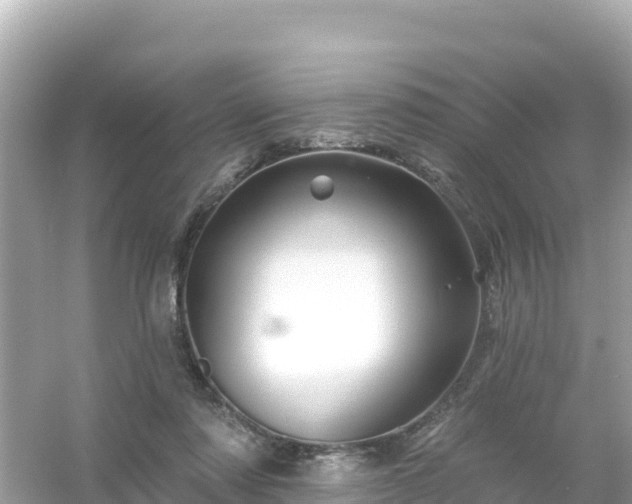 X0000054460310200508051958