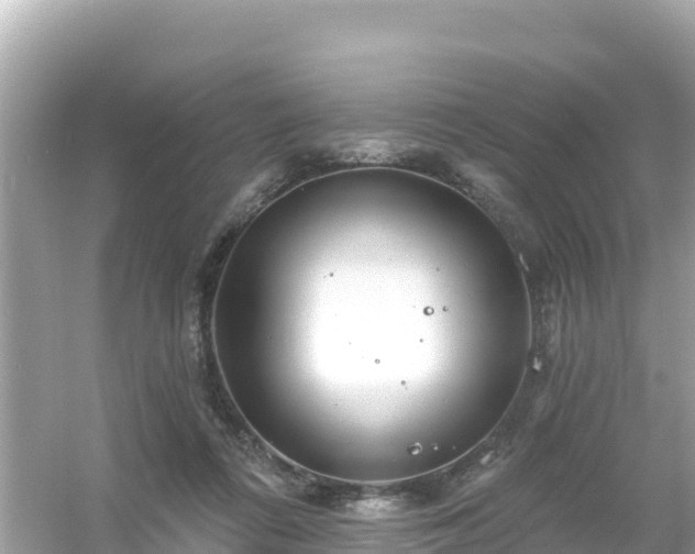 X0000054460312200508051958