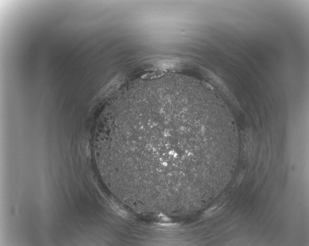 X0000054460313200508051957