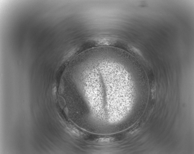 X0000054460314200508051957