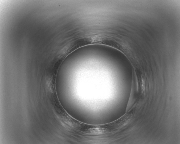 X0000054460316200508051957