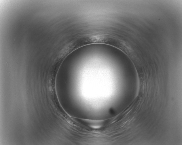 X0000054460317200508051957