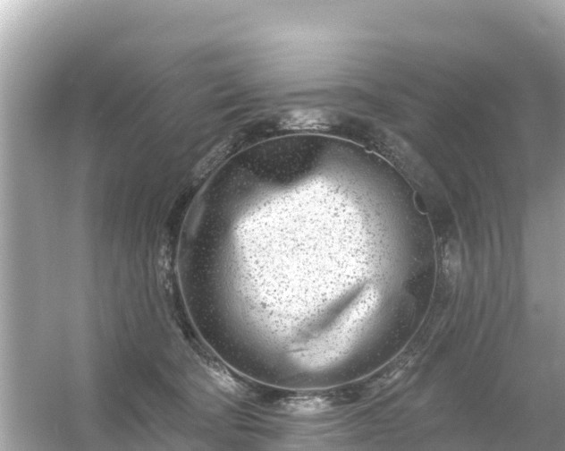 X0000054460322200508051957