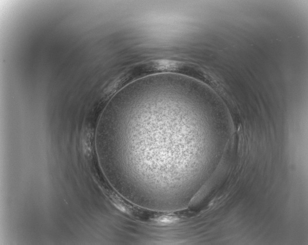 X0000054460325200508051957