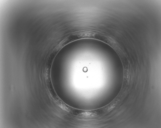 X0000054460326200508051957