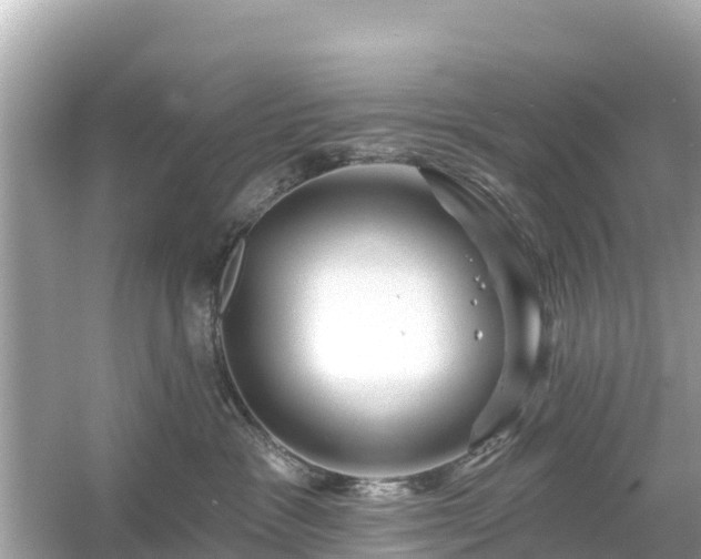 X0000054460333200508051957