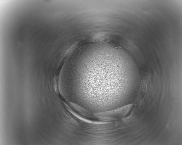 X0000054460335200508051957