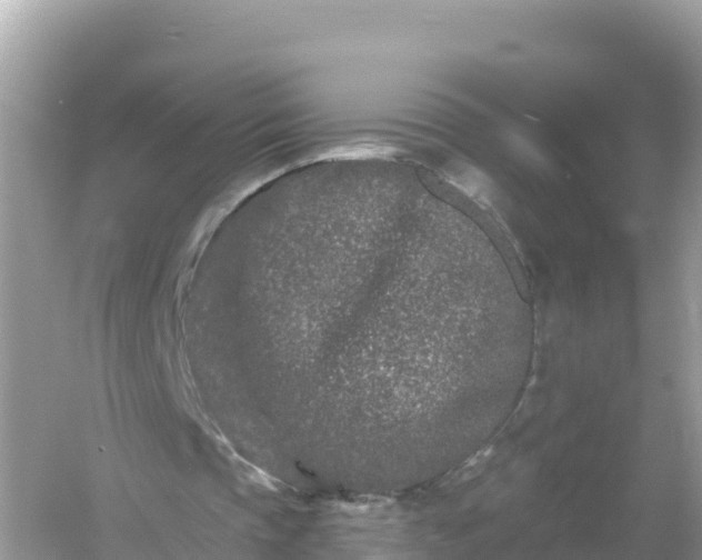 X0000054460337200508051956