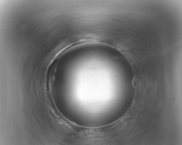 X0000054460338200508051956