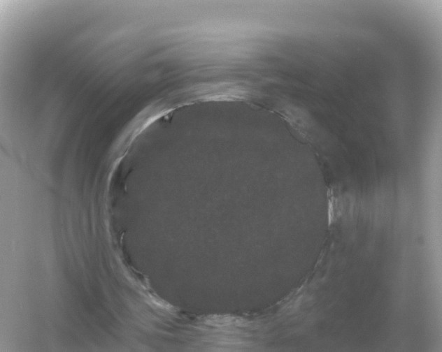 X0000054460339200508051956