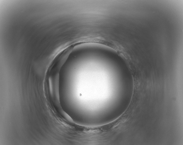 X0000054460340200508051956