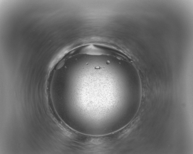 X0000054460341200508051956