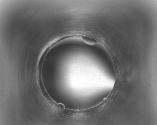 X0000054460342200508051956