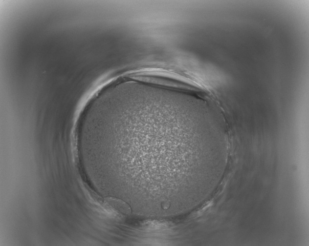 X0000054460343200508051956