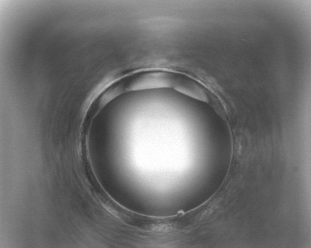 X0000054460344200508051956