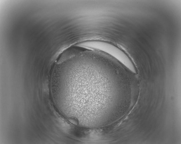 X0000054460345200508051956