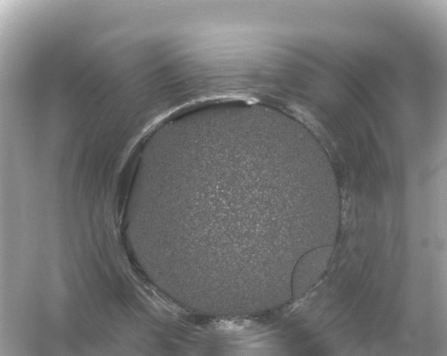 X0000054460346200508051956