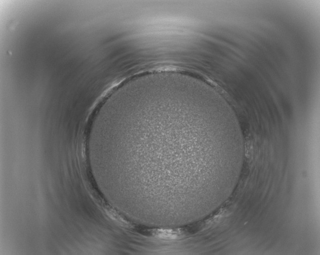 X0000054460347200508051956