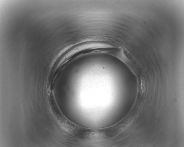 X0000054460348200508051956