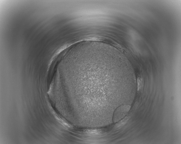 X0000054460349200508051956