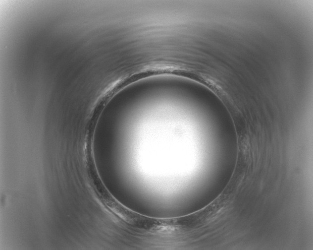 X0000054460352200508051957