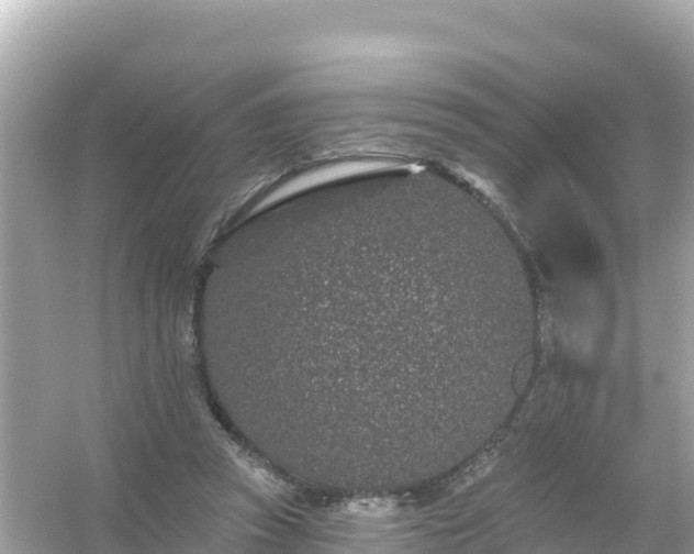 X0000054460353200508051957