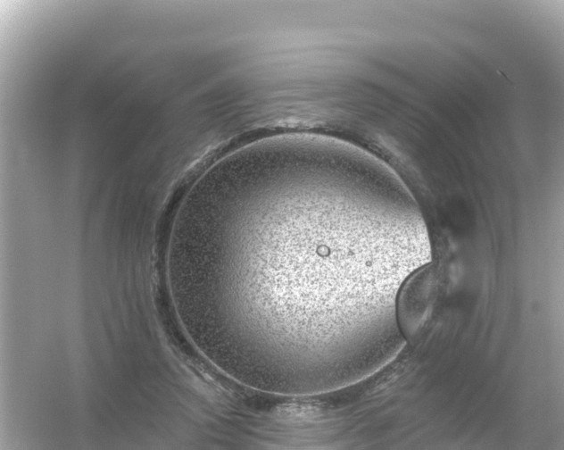 X0000054460354200508051957