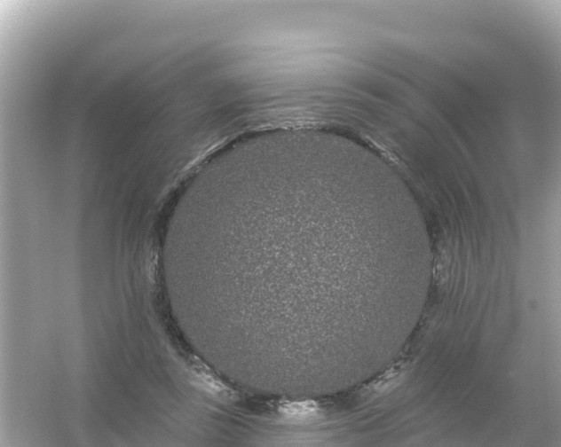 X0000054460355200508051957