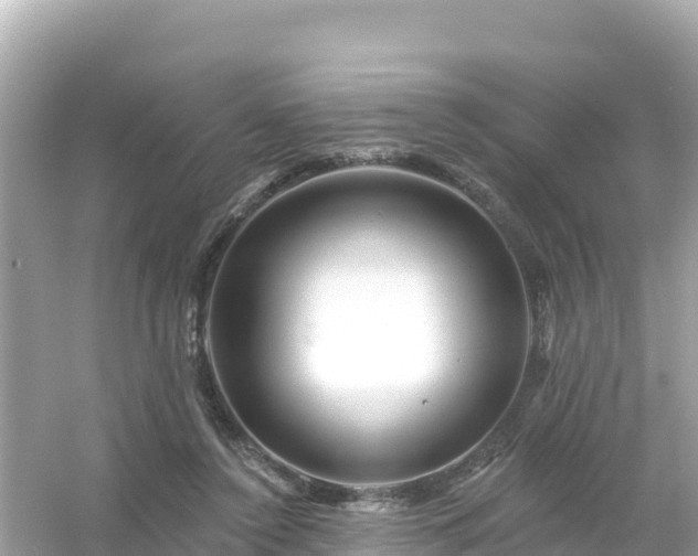 X0000054460356200508051957