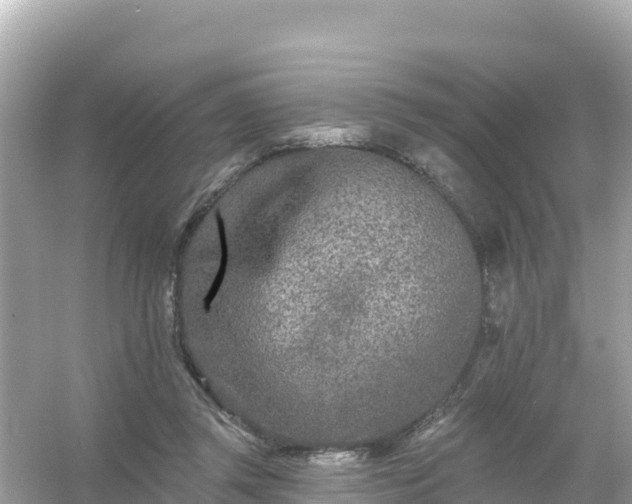 X0000054460357200508051957