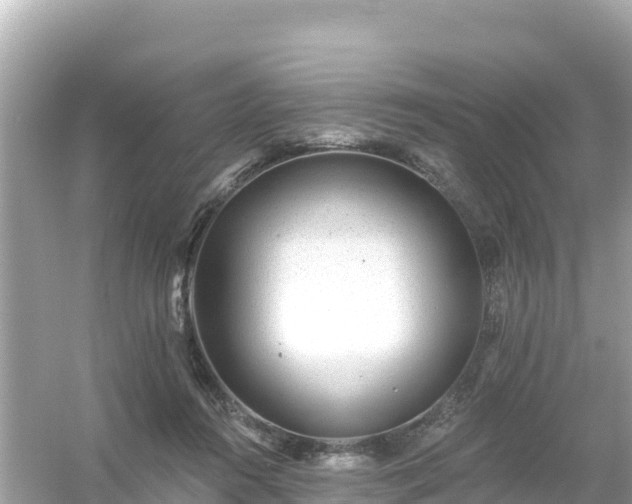 X0000054460360200508051957