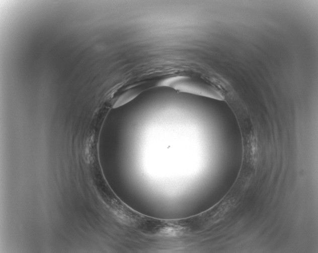 X0000054460364200508051957