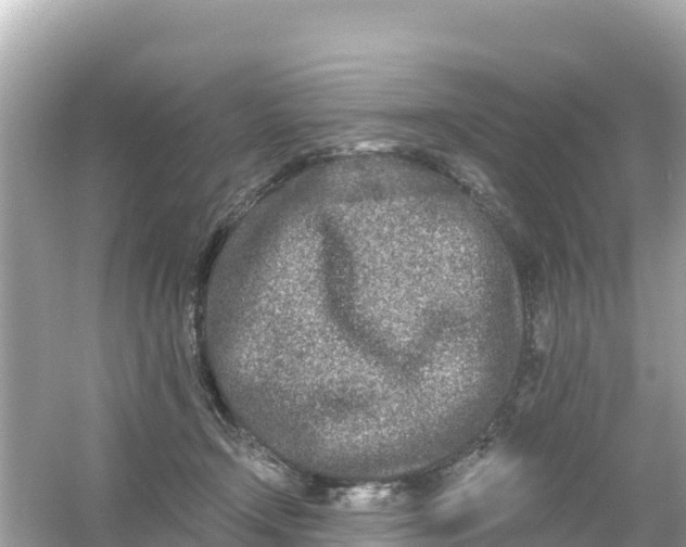 X0000054460366200508051957