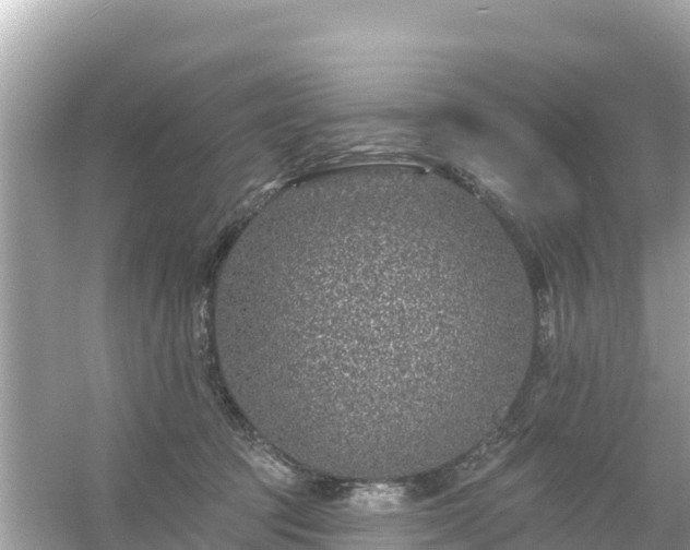 X0000054460369200508051957