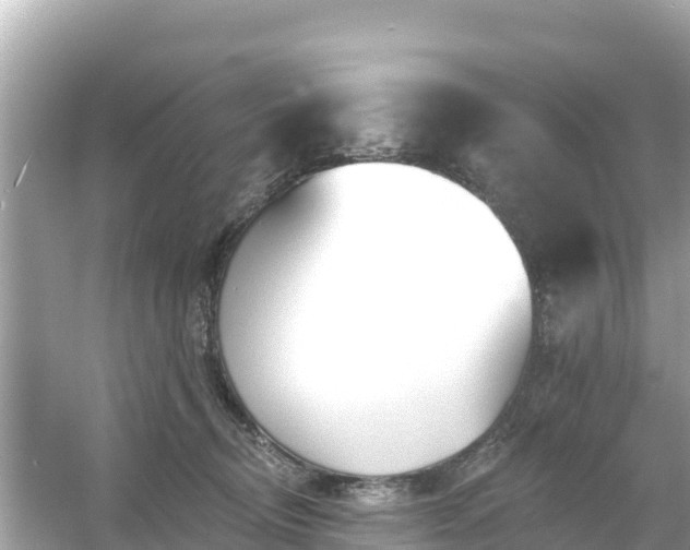 X0000054460370200508051957