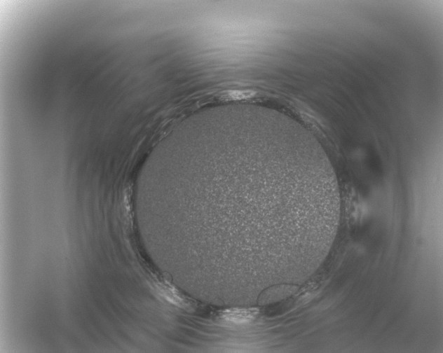 X0000054460373200508051957