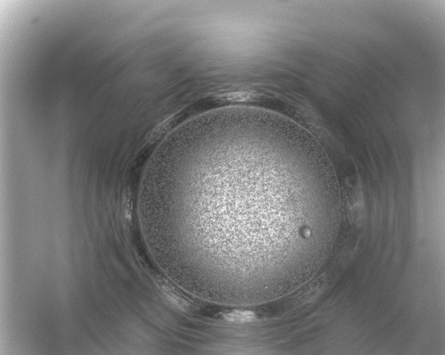 X0000054460374200508051957