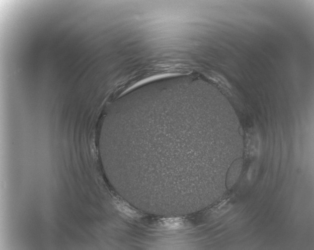 X0000054460377200508051957