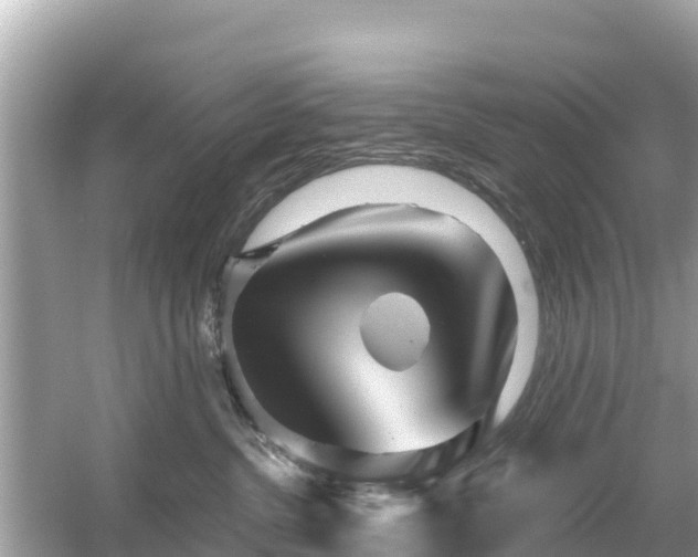 X0000054460380200508051957