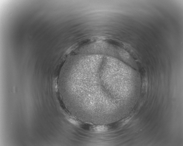 X0000054460383200508051957