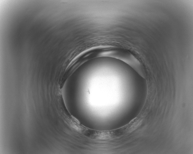 X0000054460384200508051957